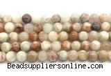 CSS852 15.5 inches 10mm round sunstone beads wholesale