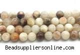 CSS853 15.5 inches 12mm round sunstone beads wholesale