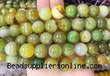 AGBS126 15 inches 14mm round agate gemstone beads wholesale