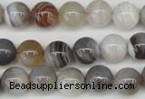 CAA225 15.5 inches 10mm round botswana agate gemstone beads