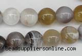 CAA226 15.5 inches 12mm round botswana agate gemstone beads