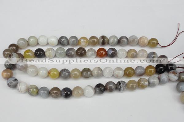 CAA226 15.5 inches 12mm round botswana agate gemstone beads