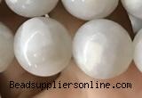 CAA2344 15.5 inches 12mm round white crazy lace agate beads wholesale