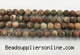 CAA3702 15.5 inches 12mm round rainforest agate beads wholesale