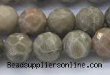 CAA3962 15.5 inches 8mm faceted round chrysanthemum agate beads