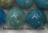 CAA3981 15.5 inches 14mm round chrysanthemum agate beads