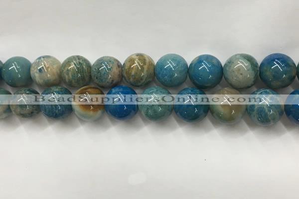 CAA3982 15.5 inches 16mm round chrysanthemum agate beads