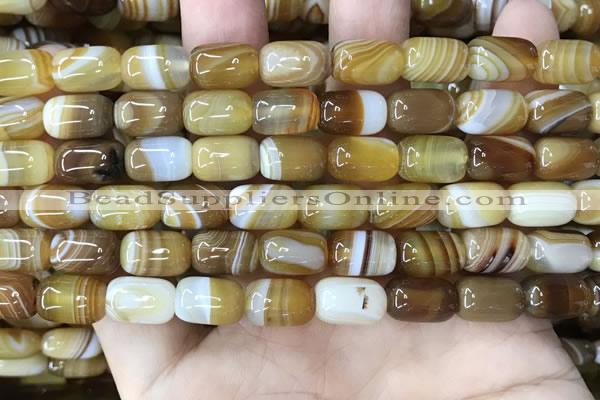 CAA4151 15.5 inches 8*12mm drum line agate beads wholesale