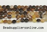 CAA4580 15.5 inches 10mm flat round banded agate beads wholesale