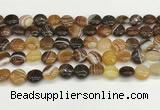 CAA4588 15.5 inches 12mm flat round banded agate beads wholesale