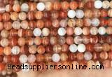 CAA5001 15.5 inches 6mm round red botswana agate beads wholesale