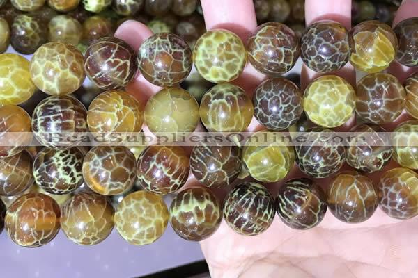 CAA5042 15.5 inches 16mm round yellow dragon veins agate beads