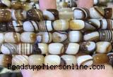 CAA5107 15.5 inches 10*14mm drum striped agate beads wholesale