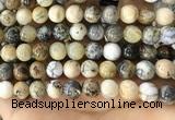 CAA5259 15.5 inches 12mm round dendrite agate beads wholesale