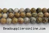 CAA5294 15.5 inches 12mm faceted round crazy lace agate beads wholesale