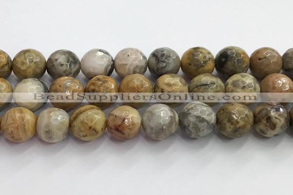 CAA5295 15.5 inches 14mm faceted round crazy lace agate beads wholesale