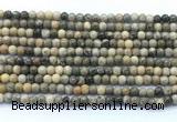 CAA6100 15.5 inches 4mm round chrysanthemum agate gemstone beads