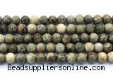 CAA6103 15.5 inches 10mm round chrysanthemum agate gemstone beads