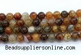 CAA6113 15.5 inches 10mm round dragon vein agate gemstone beads