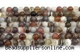 CAA6137 15 inches 4mm round Botswana agate beads wholesale