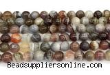 CAA6139 15 inches 8mm round Botswana agate beads wholesale