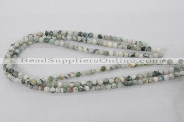 CAA700 15.5 inches 6mm round tree agate gemstone beads wholesale