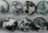 CAA705 15.5 inches 16mm round tree agate gemstone beads wholesale