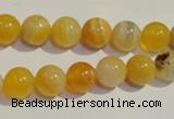 CAA90 15.5 inches 12mm round botswana agate gemstone beads