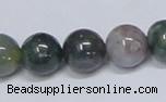 CAB434 15.5 inches 12mm round indian agate gemstone beads wholesale