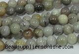 CAB66 15.5 inches 6mm round silver needle agate gemstone beads