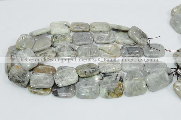 CAB88 15.5 inches 22*30mm rectangle silver needle agate gemstone beads