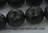 CAE41 15.5 inches 18mm faceted round astrophyllite beads wholesale