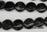 CAE45 15.5 inches 12mm flat round astrophyllite beads wholesale