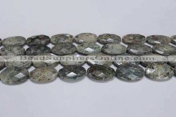 CAF150 15.5 inches 20*30mm faceted oval Africa stone beads