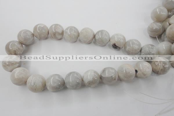 CAG1902 15.5 inches 20mm round grey agate beads wholesale