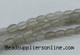 CAG3560 15.5 inches 4*6mm rice grey agate gemstone beads