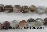 CAG3712 15.5 inches 10mm flat round botswana agate beads wholesale