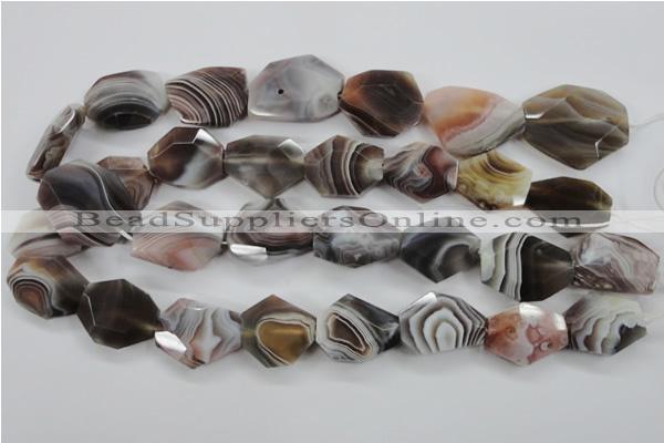 CAG3734 15.5 inches 18*22mm – 22*26mm faceted freeform botswana agate beads