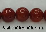 CAG446 15.5 inches 16mm round red agate gemstone beads wholesale