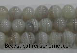 CAG5321 15.5 inches 6mm round grey line agate beads wholesale