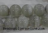 CAG5324 15.5 inches 14mm round grey line agate beads wholesale