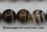 CAG5905 15 inches 16mm round Madagascar agate gemstone beads