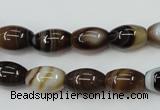 CAG5911 15 inches 8*12mm rice Madagascar agate gemstone beads