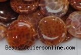 CAG632 15.5 inches 20mm coin natural fire agate beads wholesale