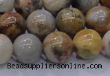 CAG6674 15.5 inches 12mm round natural crazy lace agate beads