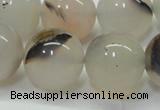 CAG6764 15 inches 14mm round Montana agate beads wholesale