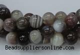 CAG736 15.5 inches 8mm round botswana agate beads wholesale