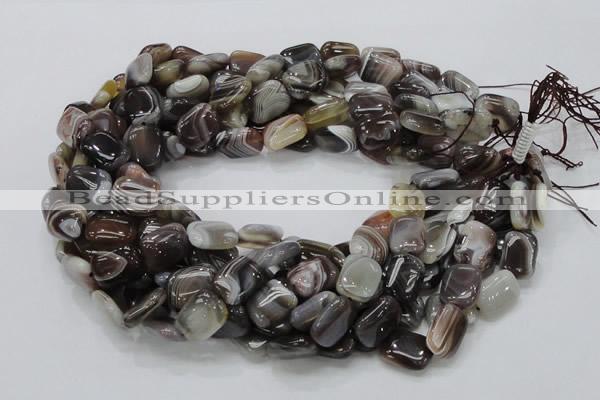 CAG737 15.5 inches 10*14mm rectangle botswana agate beads wholesale