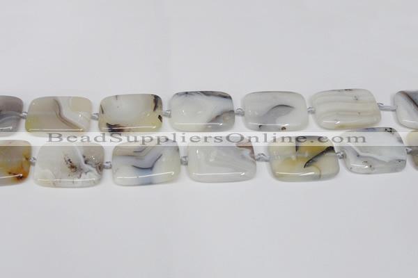 CAG7424 15.5 inches 20*30mm rectangle Montana agate beads