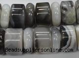 CAG788 15.5 inches 6*18mm & 12*18mm rondelle botswana agate beads